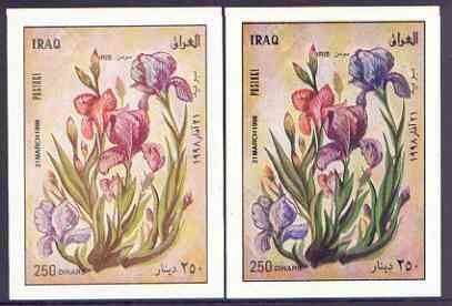Iraq 1998 Flowers imperf m/sheet (Iris) with dry print of blue (plus normal) unmounted mint, Mi BL 79, stamps on flowers, stamps on iris