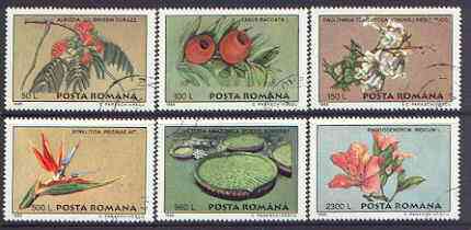 Rumania 1995 Plants from Bucharest Botanical Gardens perf set of 6 fine cto used, SG 5771-76, stamps on plants, stamps on flowers, stamps on 