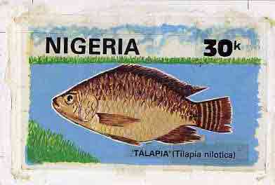 Nigeria 1991 Fishes - original hand-painted artwork for 30k value (Talapia) by Nojim A Lasisi similar to issued stamp on card 9 x 6, stamps on fish     marine-life