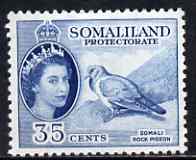 Somaliland 1953-58 Stock Dove (Rock Pigeon) 35c blue unmounted mint, SG 142, stamps on birds, stamps on doves