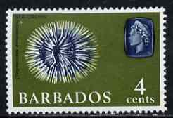 Barbados 1966-69 Sea Urchin 4c (wmk sideways) unmounted mint SG 345, stamps on marine life, stamps on 