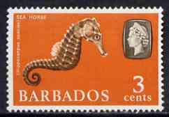 Barbados 1965 Seahorse (Hippocanpus) 3c def (wmk upright) unmounted mint SG 324, stamps on marine life, stamps on fish, stamps on seahorses