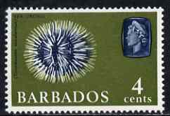 Barbados 1965 Sea Urchin 4c def (wmk upright) unmounted mint SG 325, stamps on marine life