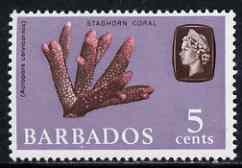 Barbados 1965 Staghorn Coral 5c def (wmk upright) unmounted mint SG 326, stamps on marine life, stamps on coral