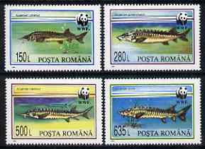 Rumania 1994 WWF - Sturgeons perf set of 4 unmounted mint, SG 5660-63, stamps on wwf, stamps on fish, stamps on  wwf , stamps on 