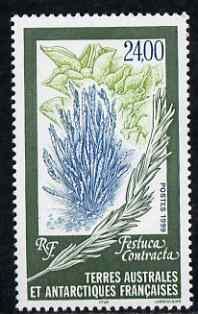 French Southern & Antarctic Territories 1999 Festuca contracta (grass) 24f unmounted mint, SG 402, stamps on plants, stamps on grass