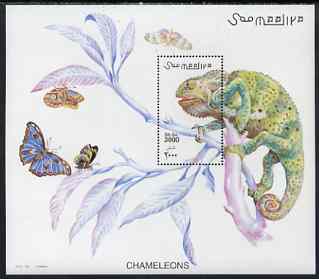 Somalia 2001 Chameleons perf m/sheet unmounted mint, Michel BL 78, stamps on reptiles, stamps on chameleons