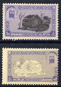 Dubai 1963 Sea Urchin 5np perf proof on gummed paper with superb set-off of frame on gummed side, SG 5var, stamps on shells, stamps on marine life
