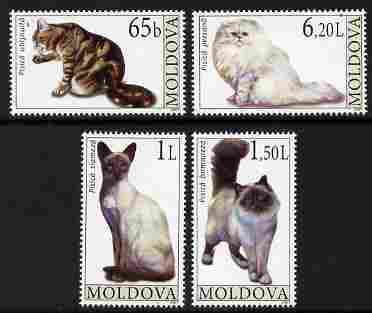 Moldova 2007 Cats perf set of 4 unmounted mint, SG 578-81, stamps on animals, stamps on cats