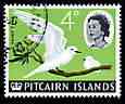 Pitcairn Islands 1964-65 White Tern 4d from def set fine used, SG 40, stamps on birds, stamps on terns