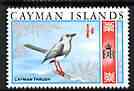 Cayman Islands 1969 Grand Cayman Thrush 1/4d from def set unmounted mint, SG 222*, stamps on birds, stamps on thrush