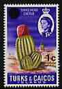 Turks & Caicos Islands 1969 Cactus 1c on 1d (wmk sideways) unmounted mint, SG 298a, stamps on cacti