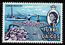 Turks & Caicos Islands 1967 Conch Industry 4d from def set unmounted mint, SG 278, stamps on , stamps on  stamps on shells, stamps on  stamps on marine life, stamps on  stamps on industries