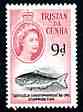 Tristan da Cunha 1960 Christophersen's Medusafish 9d from def set unmounted mint, SG 37, stamps on , stamps on  stamps on marine life, stamps on  stamps on fish