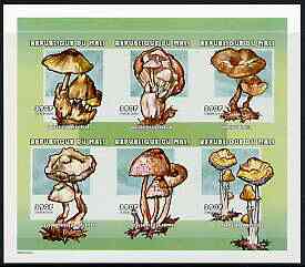 Mali 2000 Fungi imperf sheetlet containing set of 6 unmounted mint, Mi 2546-51, stamps on fungi