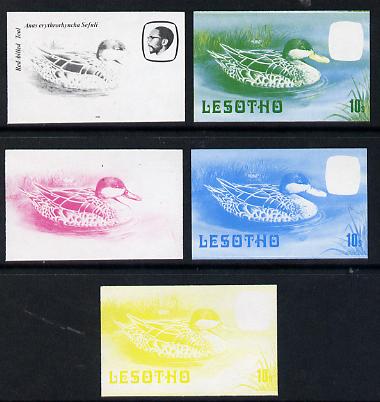 Lesotho 1982 Red Billed Teal 10s the set of 5 imperf progressive proofs comprising the 4 individual colours, plus blue & yellow, scarce (as SG 506), stamps on birds    teal, stamps on ducks