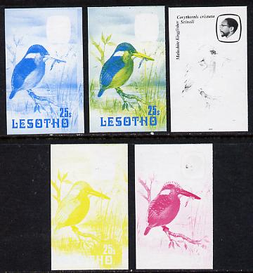 Lesotho 1982 Malachite Kingfisher 25s the set of 5 imperf progressive proofs comprising the 4 individual colours, plus blue & yellow, scarce (as SG 507), stamps on birds   kingfisher