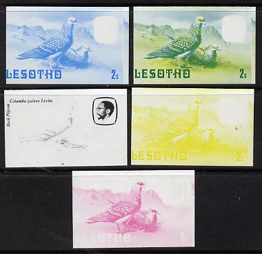 Lesotho 1982 Rock Pigeon 2s the set of 5 imperf progressive proofs comprising the 4 individual colours, plus blue & yellow, scarce (as SG 501), stamps on , stamps on  stamps on birds     pigeon