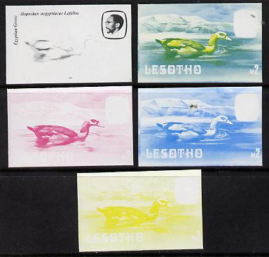 Lesotho 1982 Egyptian Goose M2 the set of 5 imperf progressive proofs comprising the 4 individual colours, plus blue & yellow, scarce (as SG 512) unmounted mint, stamps on birds     goose