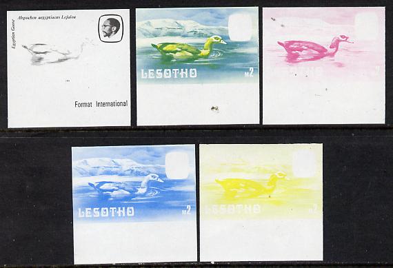 Lesotho 1981 Egyptian Goose M2 the set of 5 imperf progressive proofs comprising the 4 individual colours, plus blue & yellow, scarce (as SG 449) unmounted mint, stamps on lesotho, stamps on birds, stamps on goose