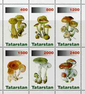 Tatarstan Republic 1998 Mushrooms #3 perf sheetlet containing complete set of 6 values unmounted mint, stamps on , stamps on  stamps on fungi