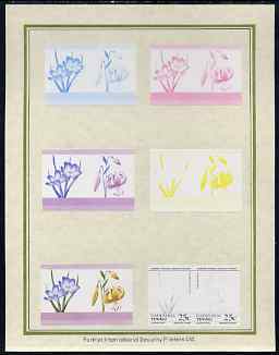 Tuvalu - Nanumaga 1985 Flowers (Leaders of the World) 25c set of 7 imperf progressive proof pairs comprising the 4 individual colours plus 2, 3 and all 4 colour composite..., stamps on flowers