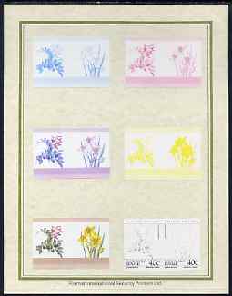 Tuvalu - Nanumaga 1985 Flowers (Leaders of the World) 40c set of 7 imperf progressive proof pairs comprising the 4 individual colours plus 2, 3 and all 4 colour composites mounted on special Format International cards (7 se-tenant proof pairs), stamps on flowers, stamps on daffodils