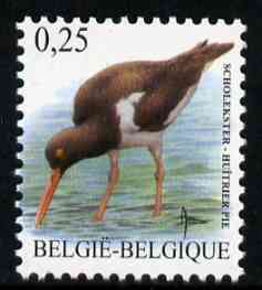 Belgium 2002-09 Birds #5 Oystercatcher 0.25 Euro unmounted mint, SG 3698, stamps on birds    