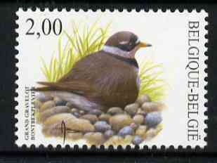 Belgium 2002-09 Birds #5 Ringed Plover 2.00 Euro unmounted mint, SG 3706, stamps on birds    