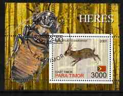 Timor (East) 2001 Rabbits (Beetle in margin) perf m/sheet cto used, stamps on animals, stamps on rabbits, stamps on insects, stamps on beetles