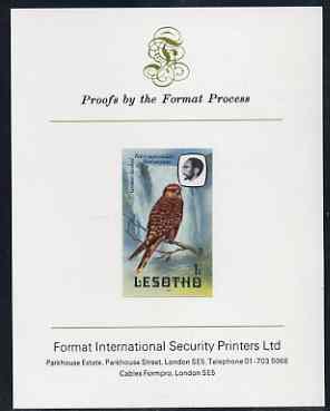 Lesotho 1981 Kestrel 1s imperf proof mounted on Format International proof card (as SG 437), stamps on , stamps on  stamps on lesotho, stamps on  stamps on birds, stamps on  stamps on birds of prey, stamps on  stamps on kestrel