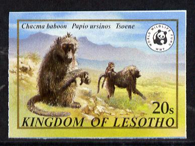 Lesotho 1981 WWF - Chacma Baboon 20s value imperf single unmounted mint as SG 469, stamps on animals, stamps on apes, stamps on  wwf , stamps on 