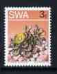 South West Africa 1973 Succulent - Titanopsis schwantesii 3c P14 x 13.5 unmounted mint, SG 243b, stamps on , stamps on  stamps on flowers, stamps on  stamps on cacti