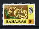 Bahamas 1971 Yellow Elder 8c (CA upright wmk def set) unmounted mint, SG 366*, stamps on flowers