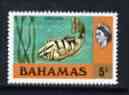 Bahamas 1978 Grouper Fish 5c (no wmk def set) unmounted mint, SG 519, stamps on fish