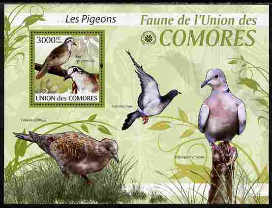 Comoro Islands 2009 Pigeons perf s/sheet unmounted mint Yv 203, Mi BL 522, stamps on birds, stamps on pigeons