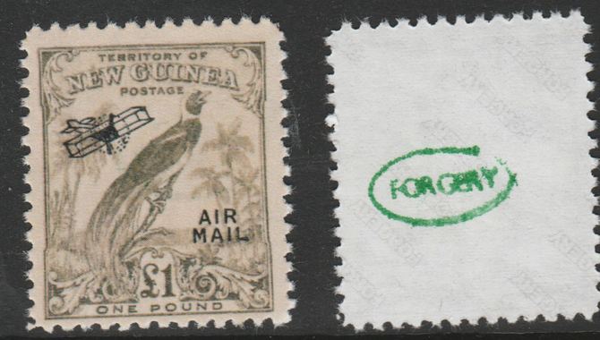 New Guinea 1932 Bird of Paradise £1 (without dates) opt'd Air Mail,  'Maryland' perf forgery 'unused', as SG 203 - the word Forgery is either handstamped or printed on the back and comes on a presentation card with descriptive notes, stamps on maryland, stamps on forgery, stamps on forgeries, stamps on , stamps on  kg5 , stamps on , stamps on birds, stamps on birds of paradise