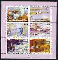Congo 2003 Birds perf sheetlet containing 6 x 125 cf values each with Rotary Logo, unmounted mint, stamps on rotary, stamps on birds, stamps on birds of prey, stamps on kingfisher, stamps on ducks