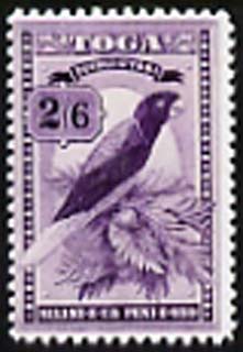 Tonga 1897 Red-Shining Parrot 2s6d  Maryland perf unused forgery, as SG 52 - the word Forgery is either handstamped or printed on the back and comes on a presentation car..., stamps on birds, stamps on parrots, stamps on forgery, stamps on forgeries, stamps on maryland
