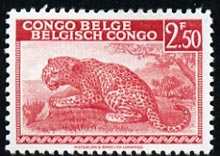 Belgian Congo 1942-43 Leopard 2f50 carmine  'Maryland' perf 'unused' forgery, as SG 263 - the word Forgery is either handstamped or printed on the back and comes on a presentation card with descriptive notes, stamps on forgery, stamps on forgeries, stamps on cats, stamps on leopards, stamps on maryland