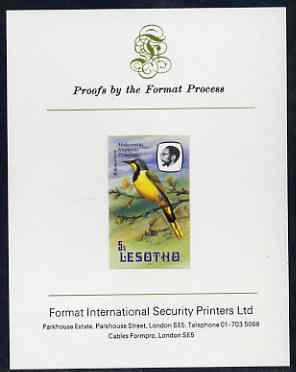 Lesotho 1982 Shrike 5s imperf proof mounted on Format International proof card (as SG 503), stamps on lesotho, stamps on birds, stamps on shrike, stamps on 