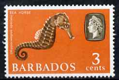 Barbados 1966-69 Seahorse (Hippocampus) 3c (wmk sideways) unmounted mint SG 344, stamps on marine life, stamps on fish, stamps on seahorses