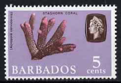 Barbados 1966-69 Staghorn Coral 5c (wmk sideways) unmounted mint SG 346, stamps on marine life, stamps on coral