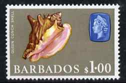 Barbados 1966-69 Queen Conch Shell $1 (wmk sideways) unmounted mint SG 354, stamps on , stamps on  stamps on marine life, stamps on  stamps on shells