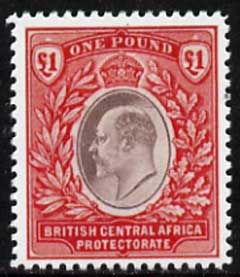 Nyasaland 1903 King Edward £1 (BCA),  'Maryland' perf forgery 'unused', as SG 66 - the word Forgery is either handstamped or printed on the back and comes on a presentation card with descriptive notes, stamps on maryland, stamps on forgery, stamps on forgeries, stamps on  ke7 , stamps on 