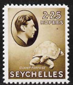 Seychelles 1938 Giant Tortoise 2r25,  'Maryland' perf forgery 'unused' as SG 148 - the word Forgery is either handstamped or printed on the back and comes on a presentation card with descriptive notes, stamps on , stamps on  stamps on maryland, stamps on  stamps on forgery, stamps on  stamps on forgeries, stamps on  stamps on  kg6 , stamps on  stamps on tortoises