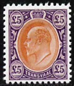 Transvaal 1903 King Edward £5,  'Maryland' perf forgery 'unused', as SG 259 - the word Forgery is either handstamped or printed on the back and comes on a presentation card with descriptive notes, stamps on maryland, stamps on forgery, stamps on forgeries, stamps on  ke7 , stamps on 