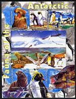 Kyrgyzstan 2004 Fauna of the World - Antarctic perf sheetlet containing 6 values cto used, stamps on polar, stamps on animals, stamps on seals, stamps on penguins, stamps on birds