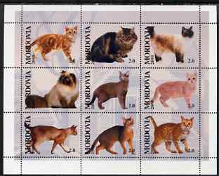 Mordovia Republic 2000 Domestic Cats perf sheetlet containing set of 9 values unmounted mint, stamps on cats