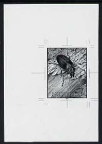 Tonga - Niuafoou 1991 Adult in Treetrunk 2p50 (from Longhorned Beetle set) B&W photographic Proof as SG 130, stamps on insects, stamps on beetles